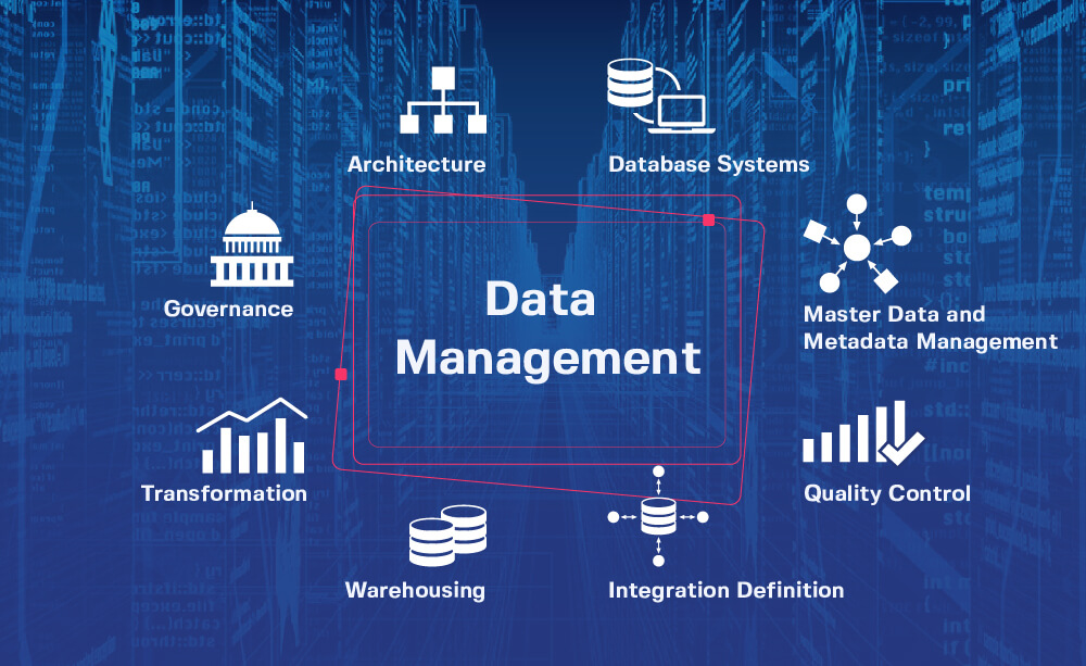 How Data Management Services Boost Your Business in 2025